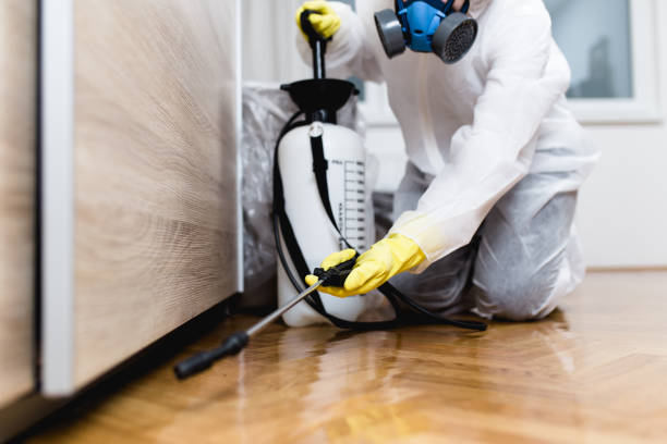 Best Ant Control Services  in Lake In The Hls, IL