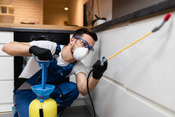Pest Prevention Services in Lake In The Hills, IL