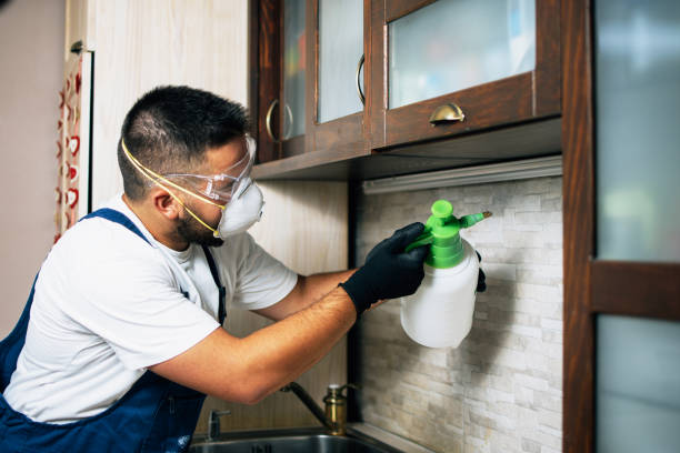 Best Best Pest Control Companies  in Lake In The Hls, IL