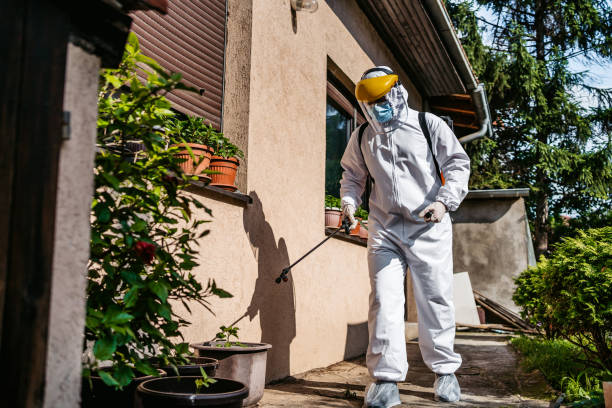 Best Termite Control Services  in Lake In The Hls, IL