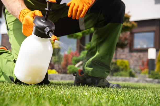 Best Pest Control Near Me  in Lake In The Hls, IL