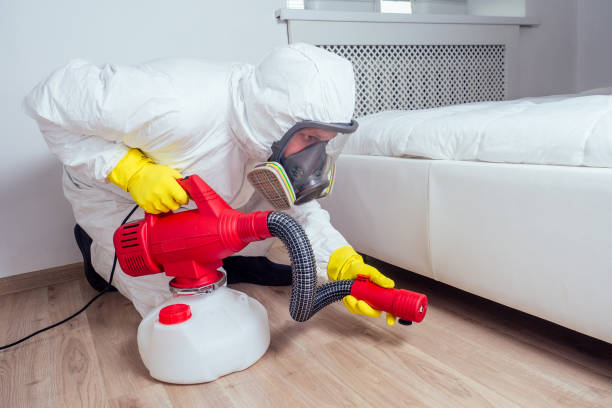 Reliable Lake In The Hills, IL Pest Control Solutions