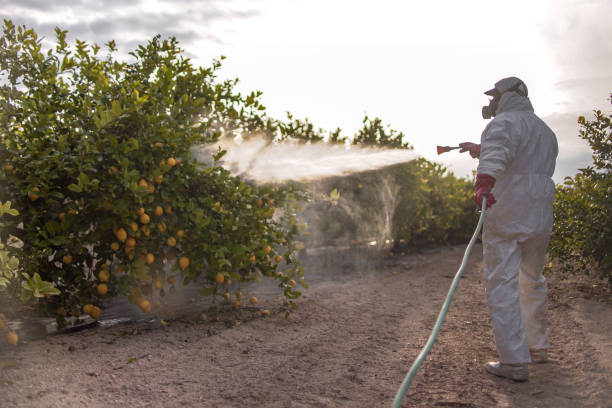 Best Emergency Pest Control  in Lake In The Hls, IL