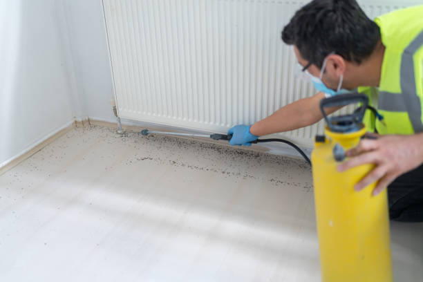 Best Residential Pest Control  in Lake In The Hls, IL